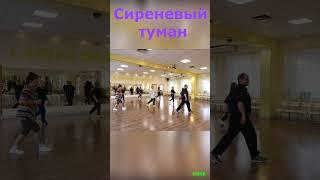 Сиреневый туман  #Shorts  Твс соло 3  Омск 12 11 2024 г