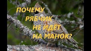 Охота на рябчика- Часть 6:  Почему рябчик не идет на манок?