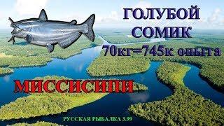 Русская рыбалка 3.99 Норвегия. Сомик Голубой, везение или удача?