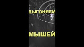 АНДРЕЙ АТЛАС: Выгоняем мышей | Открытый микрофон #андрейатлас #стендап #тнт #открытыймикрофон