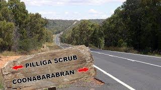 Yowie / Bigfoot Sighting (Audio Report #06) on The Newell Hwy, Pilliga Scrub, Coonabarabran NSW.