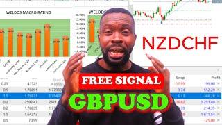 GBPUSD and NZDCHF Free Signal/Analysis (24 October 2024)