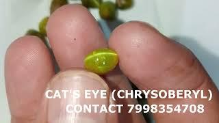 CHRYSOBERYL CAT'S EYE ( WHOLESALE SPECIAL RATES OFFER)