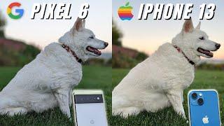 Google Pixel 6 vs iPhone 13 Camera Comparison