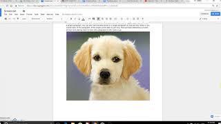 How to: In line, Wrap text, and Break text in google docs