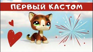 LPS Кастом/ООАК Туториал Европейской Кошки, Мой Первый Кастом