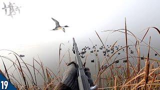 Pintail LIMITS in THICK Fog! | Kayak Duck Hunting