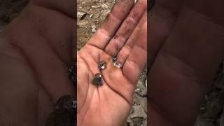 How Herkimer Diamond Mining Process Works #shorts #diamond #crystals