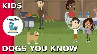 [DOGS YOU KNOW]: Be SAFE - Dog Safety Video for Kids | Good Dog In A Box (2019)