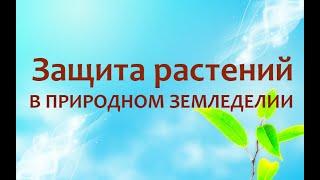 Природное земледелие - Защита растений от болезней и вредителей