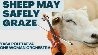 Sheep May Safely Graze on the Violin | One Woman Orchestra | Yasa Violinist