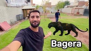 Finely Bagera aa Gya New Mini Zoo My Turab Surprise