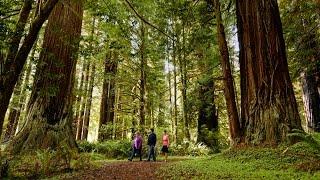 The Yurok Tribe - We Are Builders