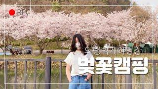 2번째캠핑:) 벚꽃캠핑/의령벽계야영장/vlog/술먹방/경남캠핑장/커플브이로그/2-19사이트/꽐라녀/캠린이