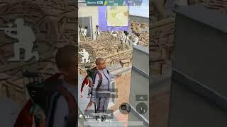 SENIOR PUBGM