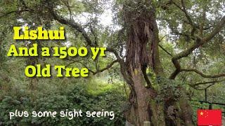 A Day Trip to Lishui, Zhejiang Province, China. October 2023