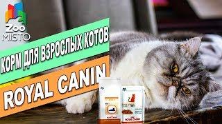 Корм для кошек Роял Канин Сеньор Стейдж 2 | Обзор корма | Royal Canin Senior Consult review