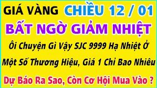 Giá vàng hôm nay 9999 ngày 12/1/2025 | GIÁ VÀNG MỚI NHẤT || Xem bảng giá vàng SJC 9999 24K 18K 10K