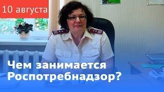 Чем занимается Роспотребнадзор