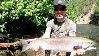 Salmon and Trout on a Fly Rod |Russian River Adventure w/ My Son