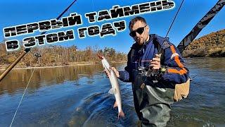 Наконец-то выбрались на рыбалку .Отдохнул от жены ( шутка ) #рыбалка #fishing #природа #shorts