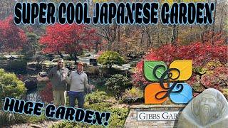 Gibbs Garden: Amazing Japanese Garden in the South | Mature Japanese Maples in Fall Color!