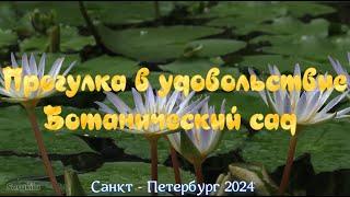 Ботанический сад Санкт - Петербурга. Прогулка в удовольствие (2024).