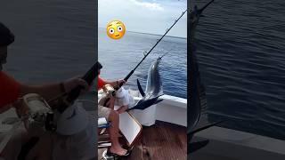 Close Call - Dangers of Marlin Fishing - Marlin jumps in boat #fishing #sportfishing #fail