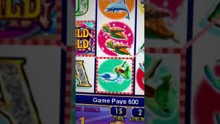 What A Line Hit on Twin Win | $600 Line Hit on Twin Win #shorts