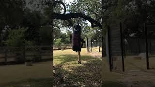 Kickboxing beginner #mma #boxing #kickboxing #workout #training