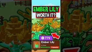 New EMBER LILY in Roblox Grow a Garden..