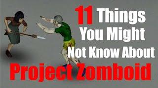 11 Things You Might Not Know About Project Zomboid Build 41 2022