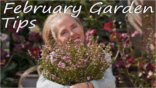  Garden Tips and Tricks for February!   #gardeningtips #gardening #garden101