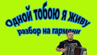 Одной тобою я живу // разбор на гармони по цифрам в тональности До мажор