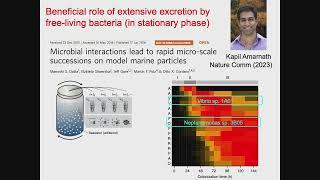 Importance of environmental fluctuation and physiological adaptation for coexistence in microbial...