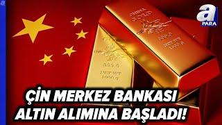 Çin Merkez Bankası Yeniden Altın Alımına Başladı! | A Para