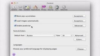 How to Enable Javascript in Firefox : Internet Basics