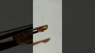 Hyderabad Gems factory Natural Yellow Sapphire Top Quality