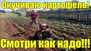 Окучивание картофеля мотоблоком Ока 2021 г.