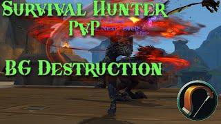 Survival Hunter is INSANE! - SV Hunt PvP - WoW The War Within 11.0.5