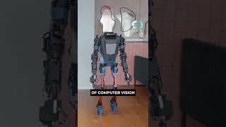 Is Elon Musk's Vision for Tesla Optimus Threatened by Mentee Robotics' Humanoid Robot?