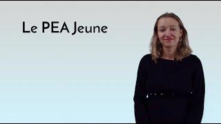 Comprendre la finance : la création du PEA Jeune