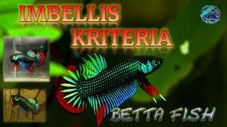 Kriteria Imbellis Original