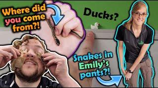 Weird Things that Happen at Snake Discovery (Shenanigans Ep. 7)