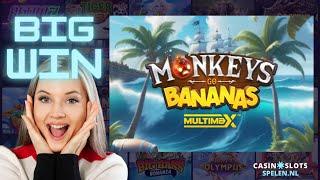 Monkeys Go Bananas MultiMax (Yggdrasil) | bonus game (BIG WIN!)