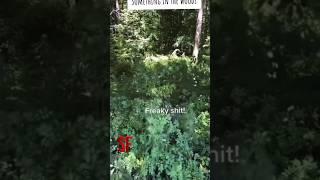 TERRIFYING ENCOUNTER Captured on camera!?  #scary #shorts #ghost