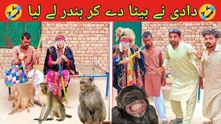 Dadi nay Beta de kar bandar Le Lia |Dadi 420 |shurli| MANZAR TV HD | funny | funny videos | comedy |