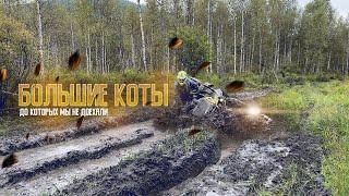 BRP, CFMOTO, STELS, AODES СМОТРИМ КТО ЛУЧШЕ ЕДЕТ