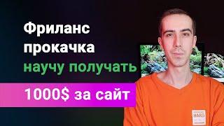 Фриланс прокачка, индивидуальное обучение созданию правильных сайтов и их продаже за хорошие деньги