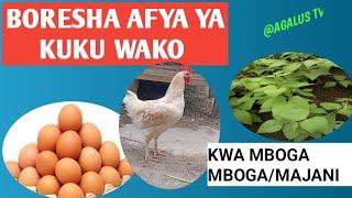 JINSI YA KUONGEZA KINGA KWA KUKU/Natural ways of boosting chicken's body immunity